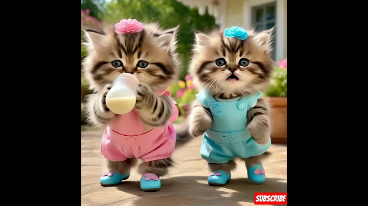 Cat drinking milk 🍼🍼 Dudi Dudi Dam Dam 💖 #shorts #shortsfeed #cat