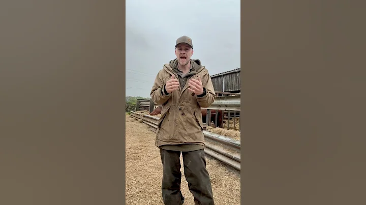 Grazing management on our farm this week. #rotationalgrazing #cattle #grazing #pasturemanagement