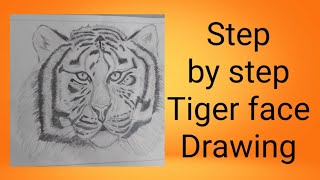 How to draw tiger using pencil/Easy drawing and shading of tiger/Tiger face drawing