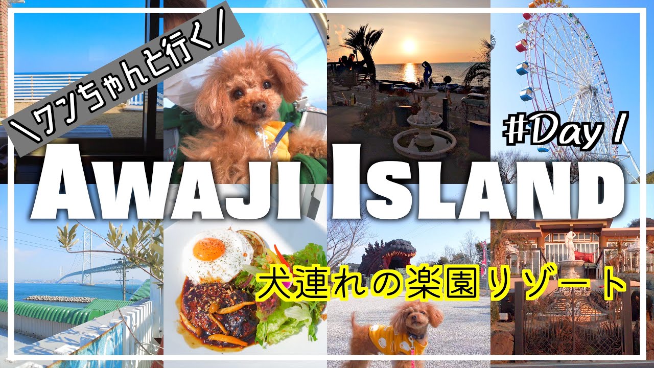 【LUANA HOUSE】１日目ワンちゃんの楽園リゾート淡路島オーシャンビュー‼【犬と旅行】【トイプードル】【淡路島】＊4