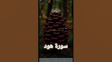 سورة هود #اكسبلور #دويتو #quran #تيك_توك #دعاء #duet #دعاءمستجاب #حالات_واتس