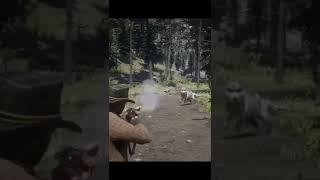 The biggest Wolf bushwhack that I’ve encountered || Red Dead Redemption 2