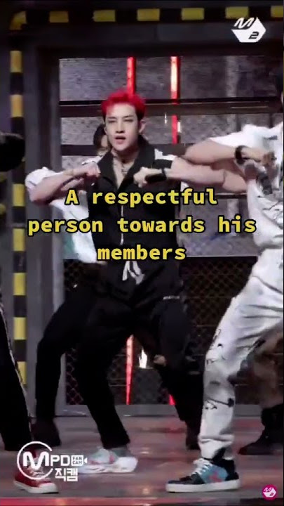 Stray Kids Bangchan Ideal Type
