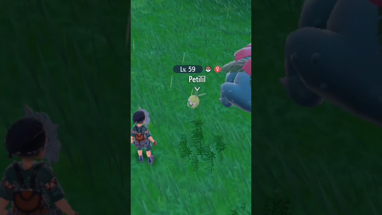 Where to Find Petilil | Pokemon Violet Kitakami 