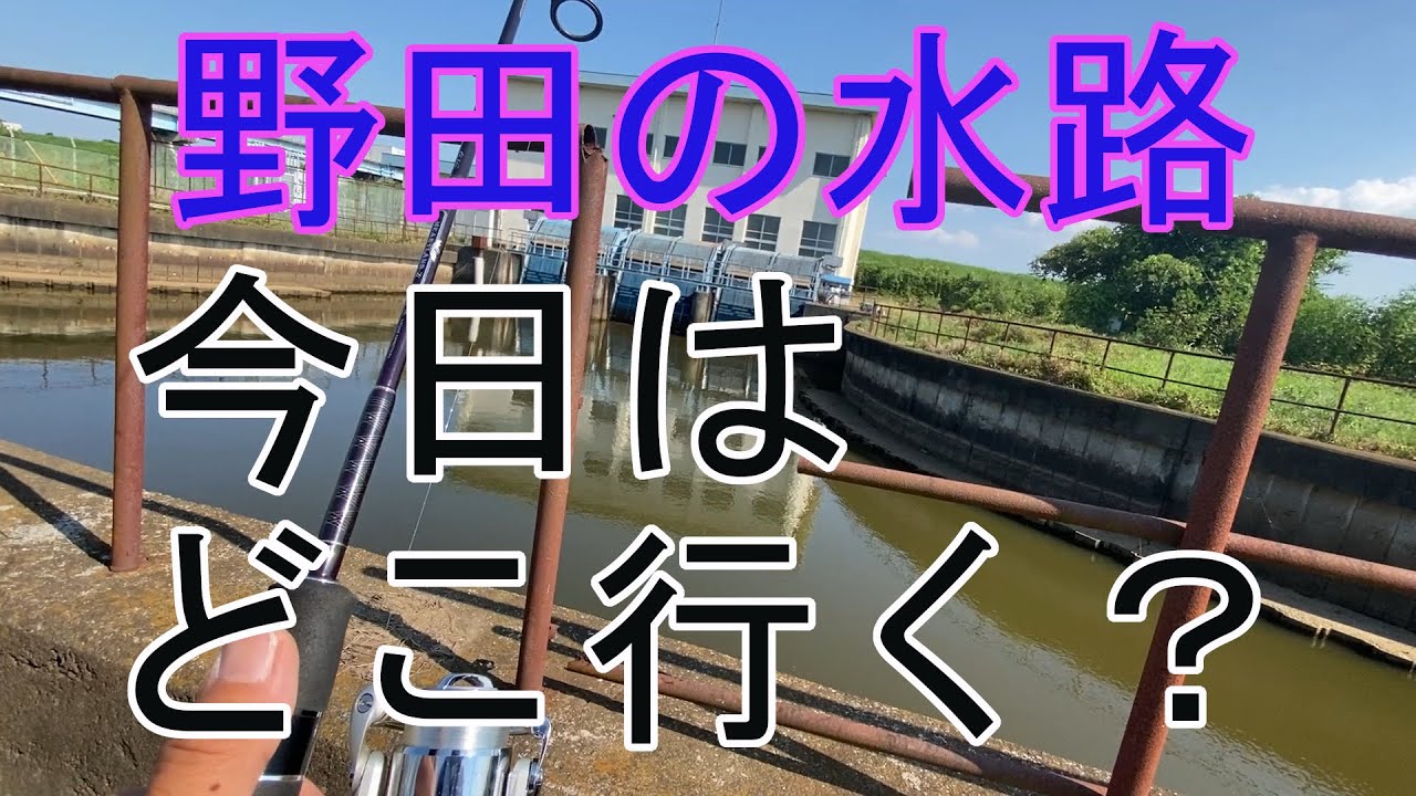 バス釣り】野田の水路 今日はどこ行く？ - YouTube