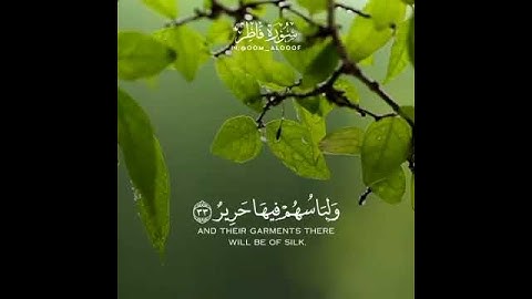 سورة فاطر جنات عدن يدخلونها