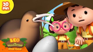PROTECT THESE ANIMAL EGGS!  Birds, Reptiles & more! | Leo the Wildlife Ranger | Kids Cartoons