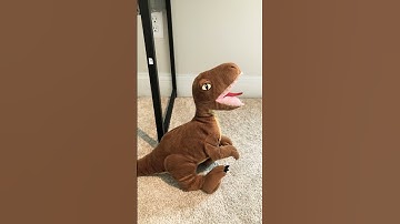 Dinosaur Plush Vs Dinosaur Figures  #dinosaurs #dinosaurtoys