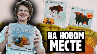 видео: ПАЛЕО: НОВОЕ НАЧАЛО ⭐🚢⭐ Корабль причалил! Дабакка собирает шкуры! Как нарисовать Мамонта? / Модуль О картинка: ПАЛЕО: НОВОЕ НАЧАЛО ⭐🚢⭐ Корабль причалил! Дабакка собирает шкуры! Как нарисовать Мамонта? / Модуль О