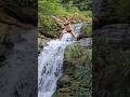 Diving 😱 #travel #waterfall #nature