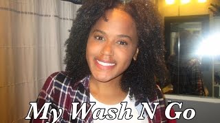 My Wash N Go Natural Hair Ali Chriss