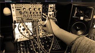Experimenting with Rings, Tides, Subharmonicon and Others