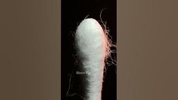 Burning Cotton Bud |Macro video | Closeup | Zoomin #shorts #macro