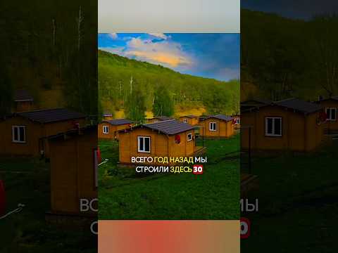 Видео из 2018г! Как думаете, ещё живые?#строимдом #двойнойбрус #wood #домподключ #строительство #топ
