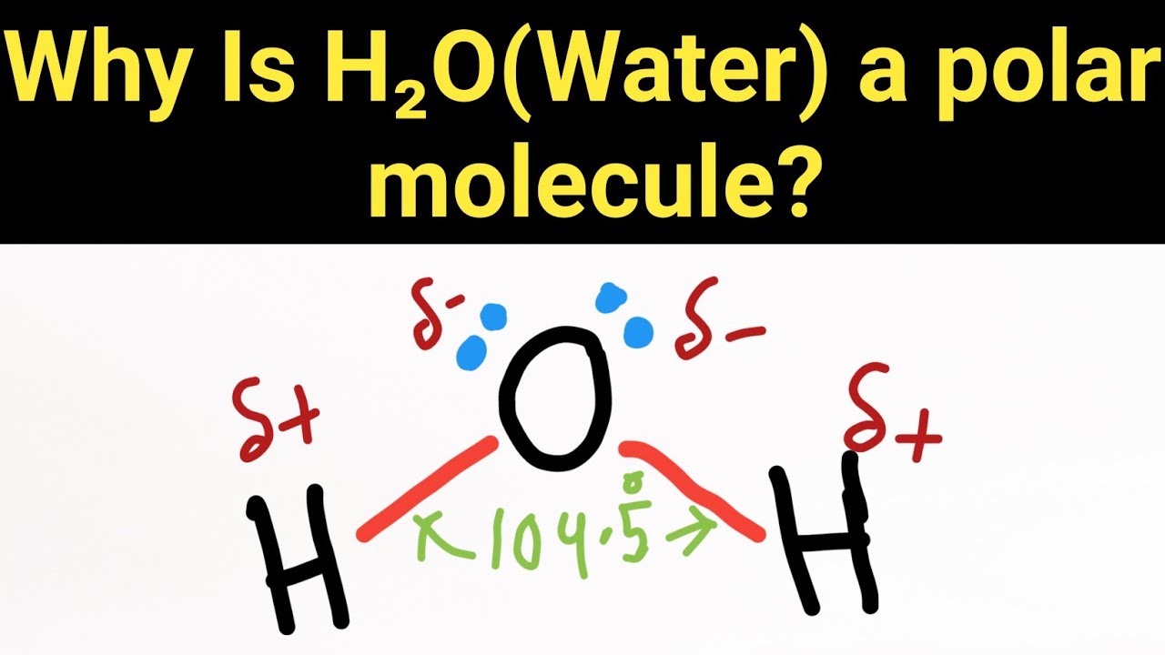 Why is H2O (Water) a polar molecule? - YouTube