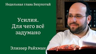 Усилия. Для чего всё задумано