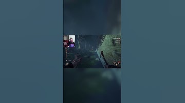 What Good Pallet? #dbd #deadbydaylight #dbdclips #dbdshorts #dbdkiller #2v8 #streamer