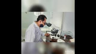 Siaran Mbangun Deso RRI Yogyakarta Topik Pengendalian OPT Kedelai Sifat Dialog