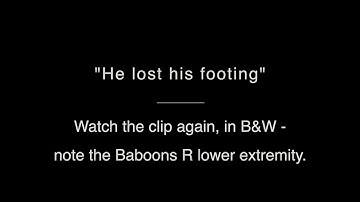 Baboon Hunt: Equipped with David Tubb