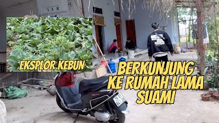 BERMAIN KE RUMAH PERTAMA SUAMI || EKSPLOR KEBUN BELAKANG RUMAH BERSAMA ANAKKU