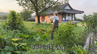 Download Lagu 직접 키운 재료로 차린 특별한 밥상 | 바질페스토, 깻잎당귀페스토, 연잎밥, 고추장아찌 MP3 Download Lagu 직접 키운 재료로 차린 특별한 밥상 | 바질페스토, 깻잎당귀페스토, 연잎밥, 고추장아찌 MP3