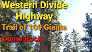 Sequoia National Forest M50 to M90 Trail of 100 Giants Dome Rock Needles Cedar Slope