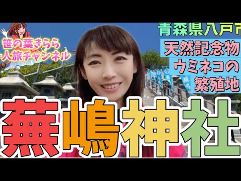#青森 #八戸 #鮫駅 #蕪島 #蕪嶋神社 #japan #観光スポット #旅行動画 #一人旅 #旅行 #travel #青森観光 #青森旅行 #aomori #ウミネコ #天然記念物 #神社仏閣