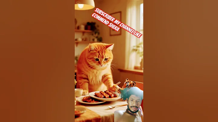 Video 9319051: laugh funny fails cat, best funny cats fail, cat animal fails funny, funnycats cute animals