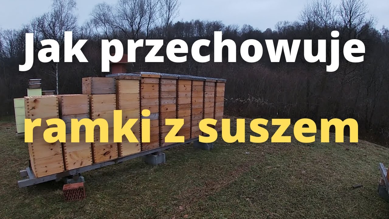 #63 Jak zabezpieczam ramki z suszem na zimę