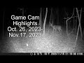 Game cam highlights oct 26 nov 17 2023