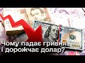 💵 Фіксованого курсу вже не буде! Чому падає гривня і дорожчає долар?