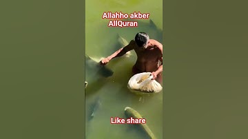 #القران_الكريم #تلاوه_خاشعه #قال رب انیی ظلمت نفسی #المصحف#الشيخ محمود الشحات #foryou