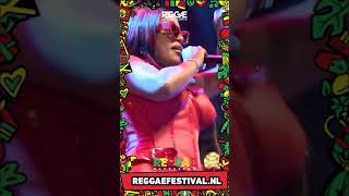 Stefflon Don Incredible Limitless Live Performance at Reggae Rotterdam Festival