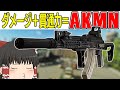 【タルコフ】何も気にせず敵を瞬殺したいですか？AKMNをご紹介！【ゆっくり実況】#EFT #タルコフ