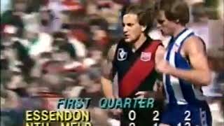 1982 Eliminaton Final Essendon v North Melbourne