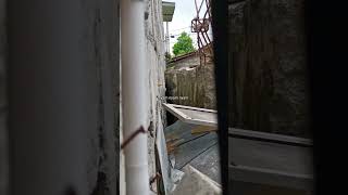 Download Lagu Nnnnnyaaanbeeeekkk #biawak #nyambek MP3