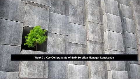 SAP Solution Manager Landscape Components