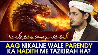 Aag Nikalne Wale Parendy Ka Hadith Me Tazkirah Ha | Mufti Rasheed Official.