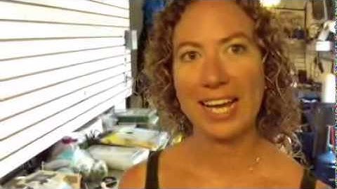 On The Spot #56 -Ampullae of Lorenzini