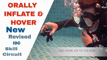 Orally Inflate BCD to Hover - New Revised PADI IDC Skills Circuit • Divemaster Skills