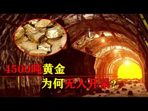 遍地是黄金？储藏量高达4500吨的金矿，为何70年无人敢开采？