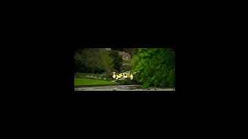 ((وَهُوَ اللَّهُ لَا إِلَٰهَ إِلَّا هُوَ)) #المنشاوي #تلاوة_هادئة #المصحف #قرآن #اكسبلور