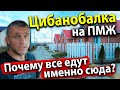 #АНАПА НА ПМЖ - ЦИБАНОБАЛКА. ПОЧЕМУ СЮДА ВСЕ ЕДУТ?