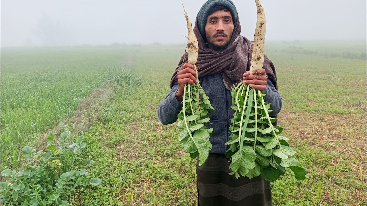 Moli ka khait / bachpan ki yadien😍 l vlog l Aliasif 