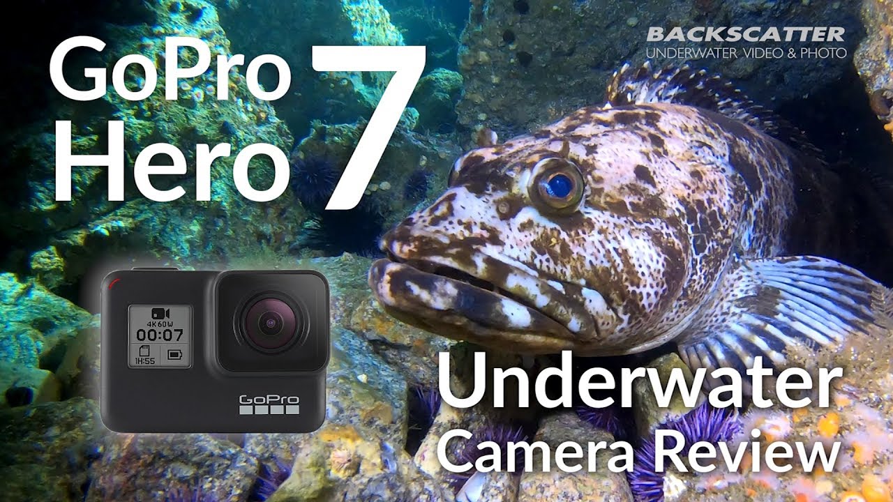participant simple glass GoPro Hero 7 Underwater Camera Review - YouTube