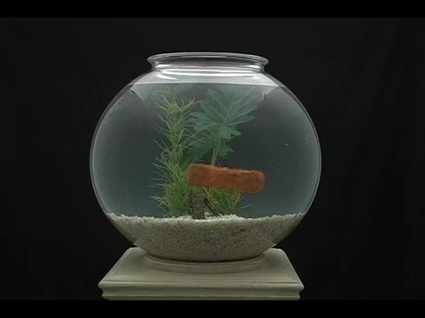 The Village Petstore and Charcoal Grill - Fish Fingers