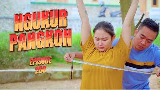 NGUKUR PANGKON || KOMEDI JAWA EPS 260