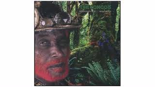 The Congos - Solid Foundation / Neckodeemus - 12" - Studio 16