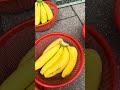 I Tried the SWEETEST Banana in Taiwan 😍 #healthysnack #taiwanfood #youtubeshorts