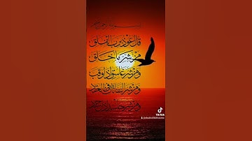 #راحه #قرآن #صلوا_على_النبي #قران_كريم #تلاوة_خاشعة #تلاوة_مميزة #سبحان_الله #foryou #funny #viral